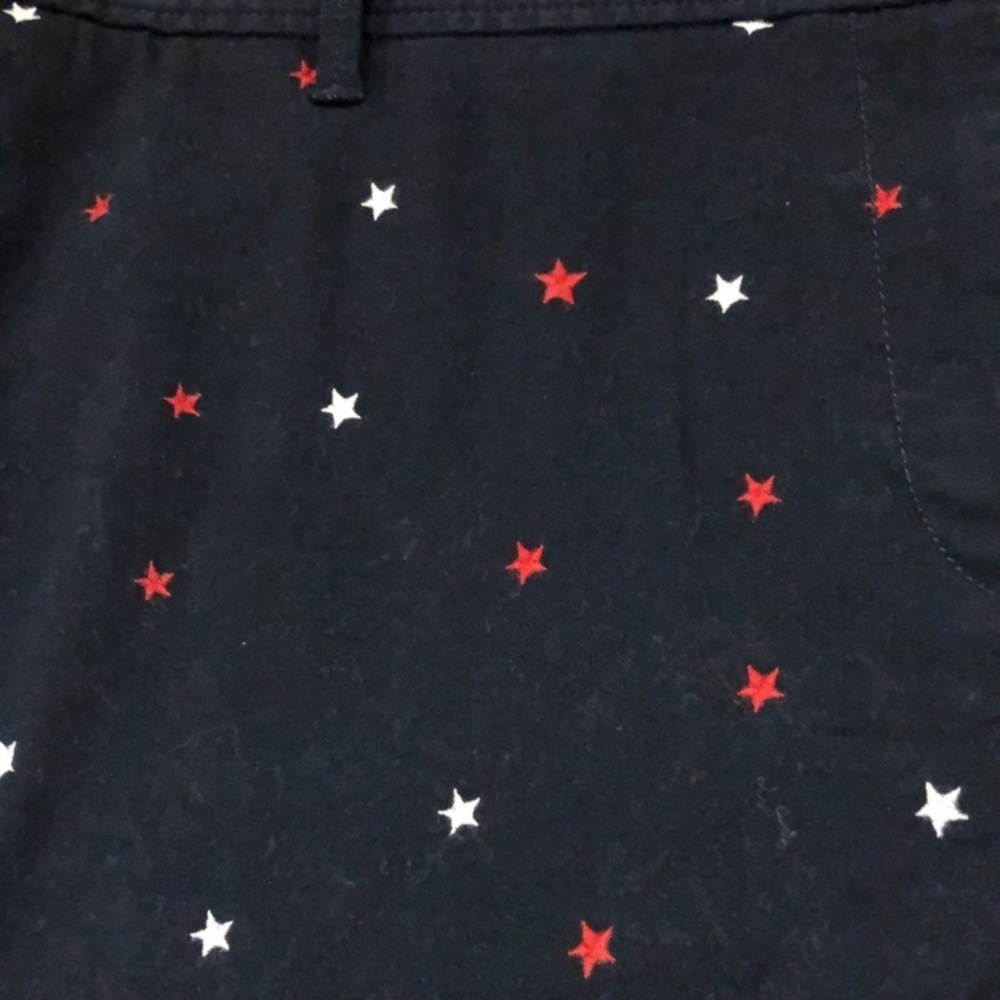 Talbots⭐️Star Embroidered Shorts. EUC. Dark Navy Blue. Women Size 20. - Picture 3 of 6